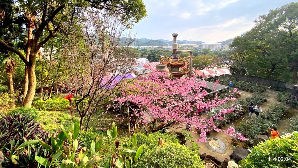 【桃園】龜山壽山巖 長庚養生文化村