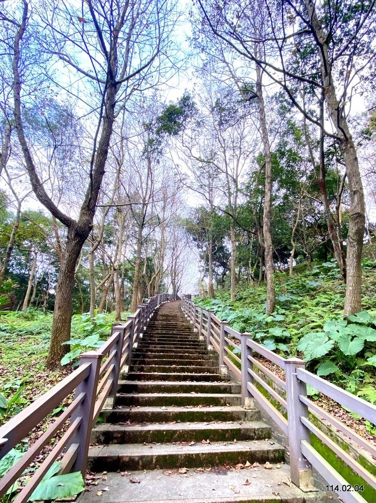 【桃園】龜山壽山巖 長庚養生文化村