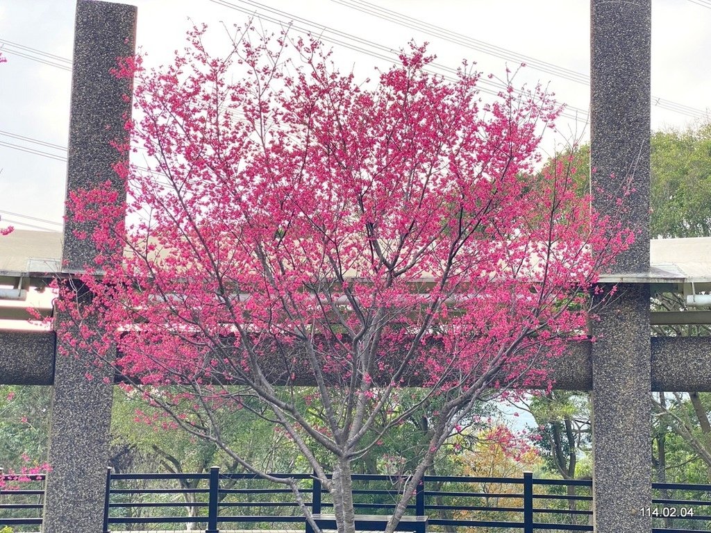 【桃園】龜山壽山巖 長庚養生文化村
