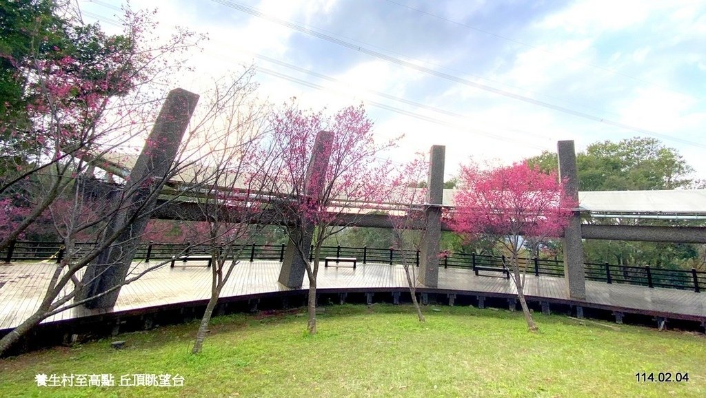 【桃園】龜山壽山巖 長庚養生文化村