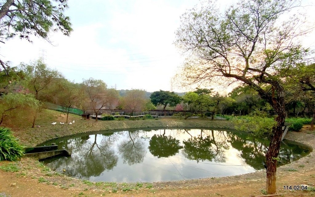 【桃園】龜山壽山巖 長庚養生文化村