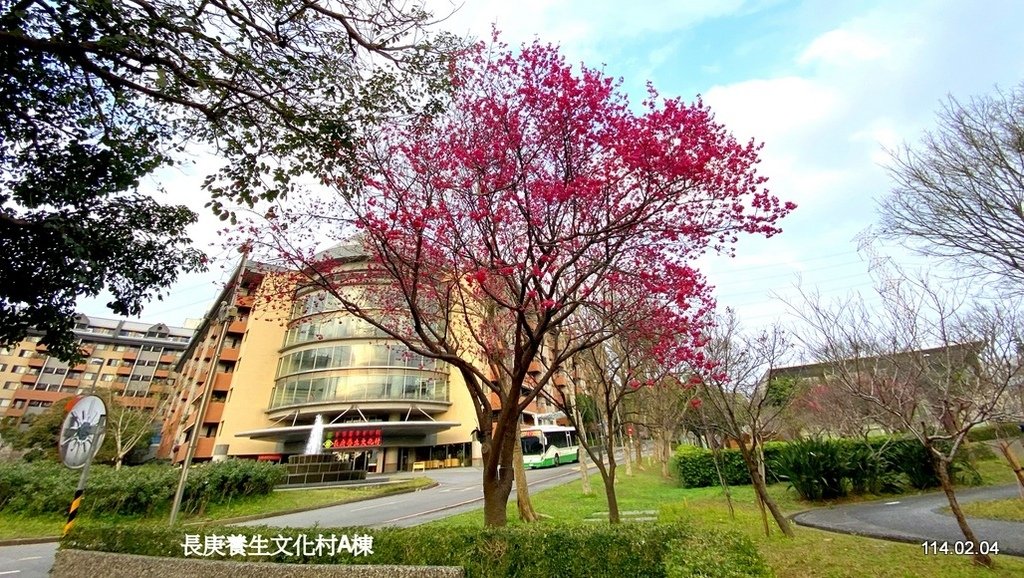 【桃園】龜山壽山巖 長庚養生文化村