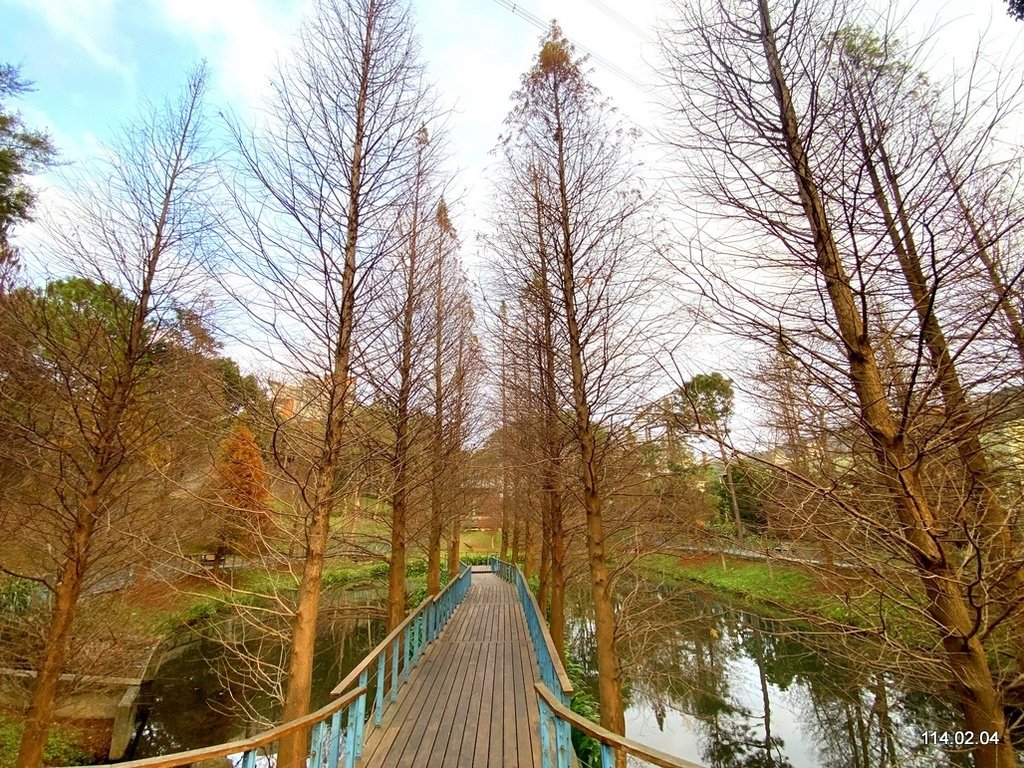 【桃園】龜山壽山巖 長庚養生文化村