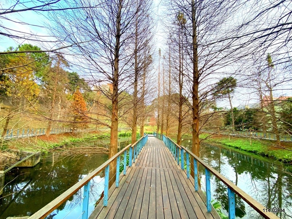 【桃園】龜山壽山巖 長庚養生文化村