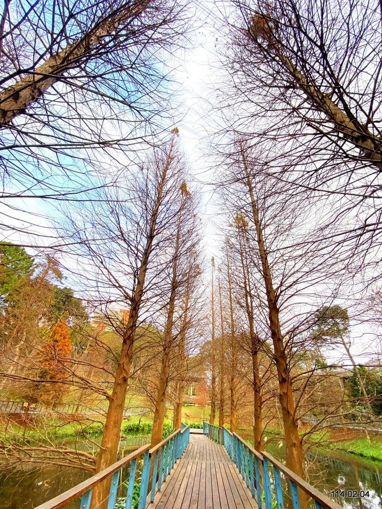 【桃園】龜山壽山巖 長庚養生文化村