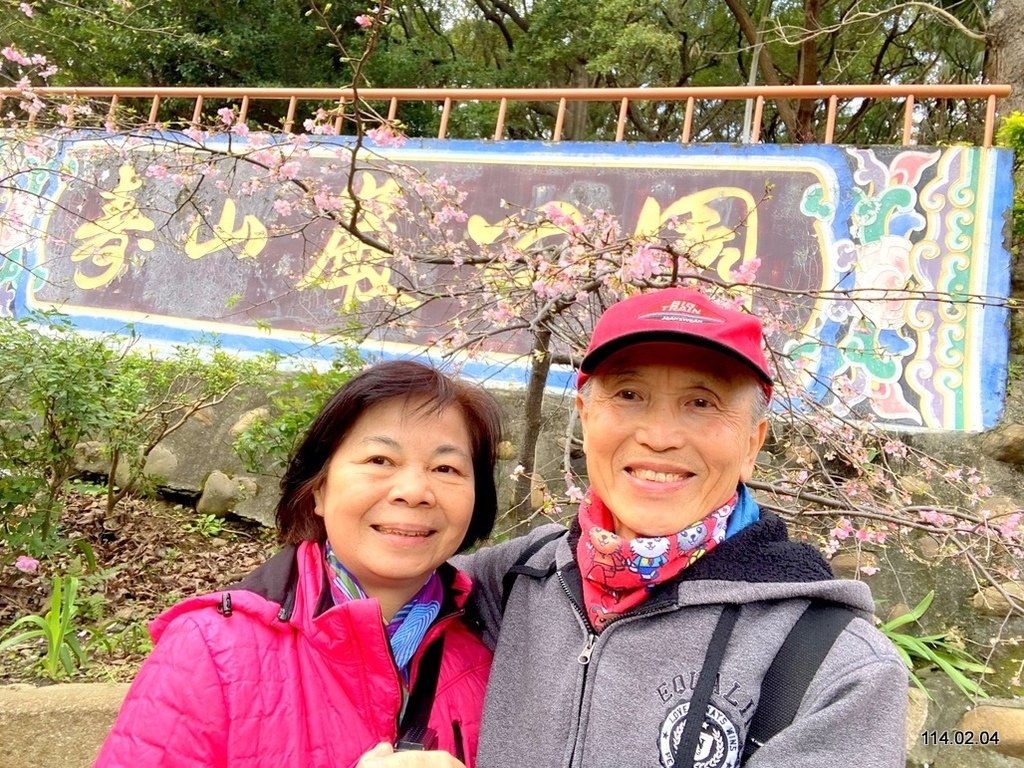 【桃園】龜山壽山巖 長庚養生文化村
