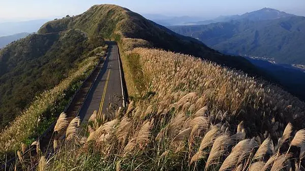 九份後山:夕陽下102號道路不厭亭菜刀崙的芒花