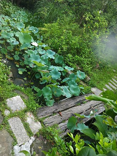 汐止下街巴洛克建築。汐止濟德宮。高安陳穎昆南士待歸草堂詩稿汐