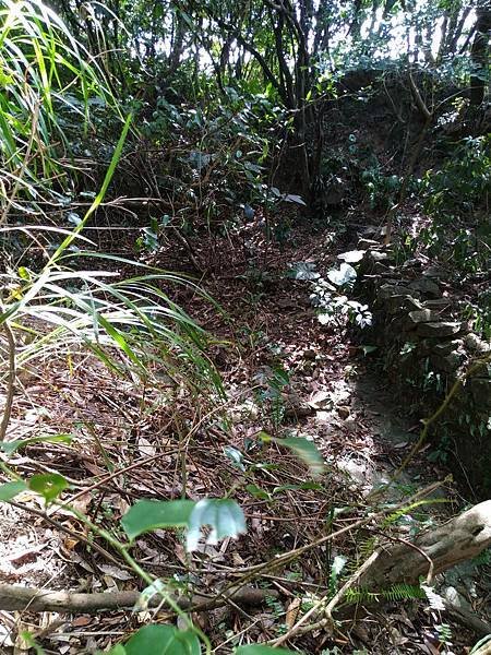 大粗坑古道。山腰古道。羅門新詩礦工-光之牧者。吳濁流作家。古