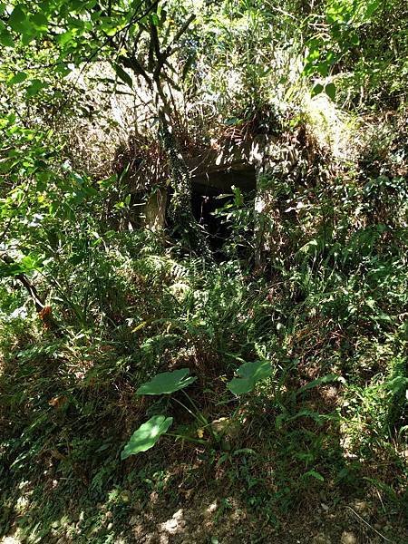 大粗坑古道。山腰古道。羅門新詩礦工-光之牧者。吳濁流作家。古