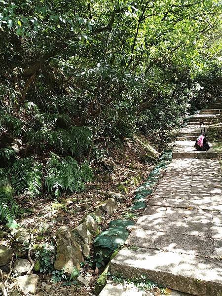 大粗坑古道。山腰古道。羅門新詩礦工-光之牧者。吳濁流作家。古