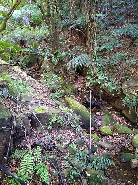 大粗坑古道。山腰古道。羅門新詩礦工-光之牧者。吳濁流作家。古