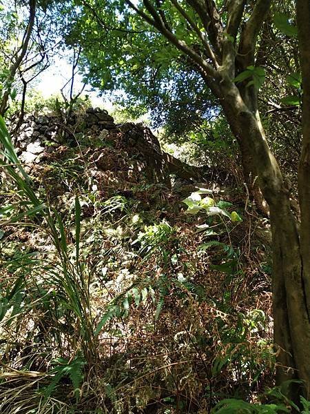 大粗坑古道。山腰古道。羅門新詩礦工-光之牧者。吳濁流作家。古