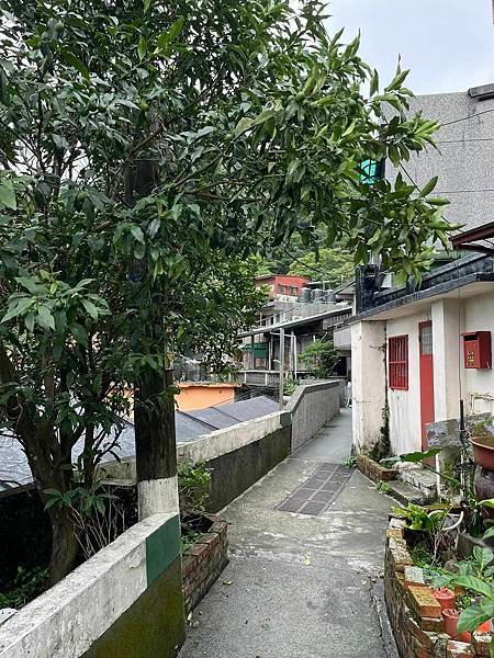 不知道甚麼叫做辣。一大鍋鹹稀飯的同悲與同喜。金與煤的同胞。九