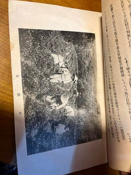瑞芳公學校-倪蔣懷畫家的母校，也是李梅樹畫家第一次擔任教師的