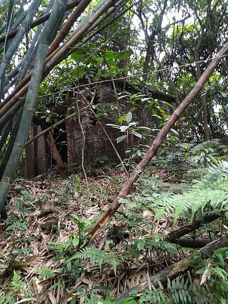 大坑門。基隆市七堵區友蚋地區礦工女士的回憶指點。蔡忠修詩人【