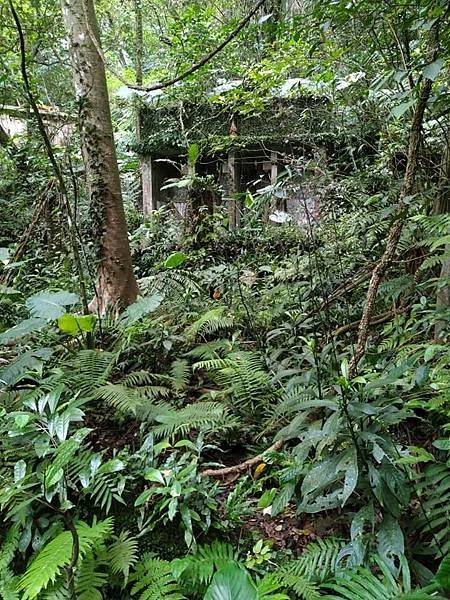 大坑門。基隆市七堵區友蚋地區礦工女士的回憶指點。蔡忠修詩人【