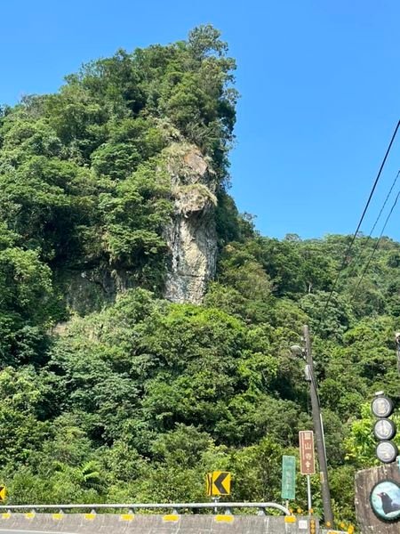 撥數不清的汗珠。新北市平溪區東勢里紫來石鶯石竿榛林東勢格。平