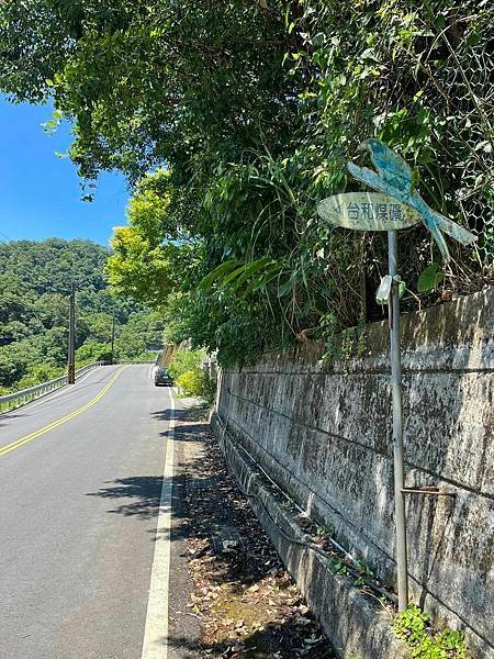 撥數不清的汗珠。新北市平溪區東勢里紫來石鶯石竿榛林東勢格。平