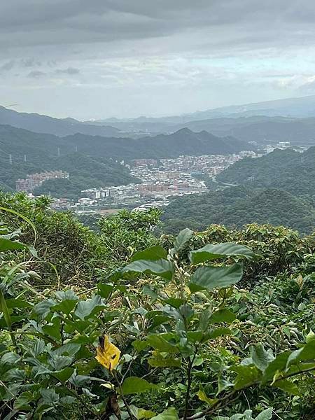 別讓我沒白米。白萩詩人的牽牛花詩。宋朝釋文珦古典詩居山樂。九
