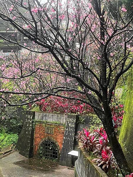晴雨都美的九份