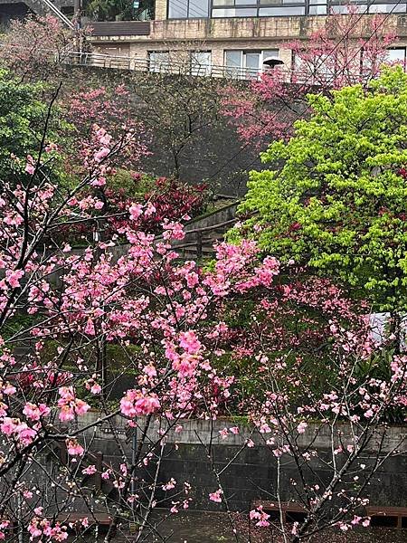 晴雨都美的九份