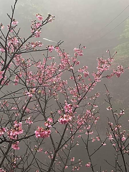 晴雨都美的九份