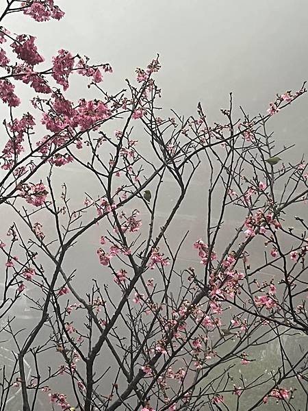 晴雨都美的九份