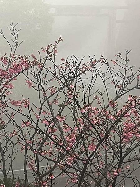 晴雨都美的九份
