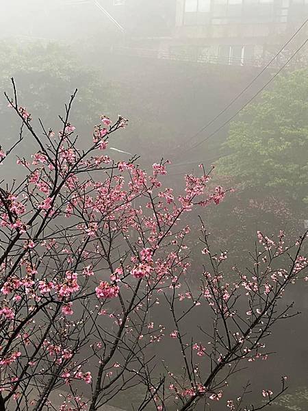 晴雨都美的九份