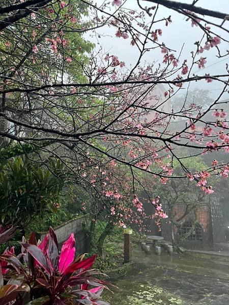 晴雨都美的九份
