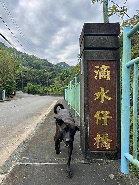 礦山十六歲少女的夢。尋找六坑炭礦。來福狗兒走探。慶和煤礦十六