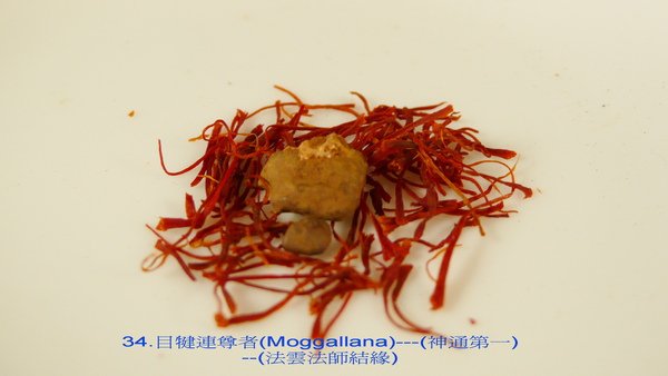 L1080658-01.jpg
