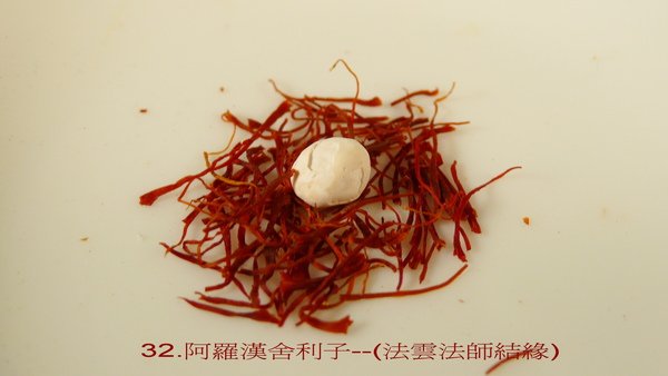 L1080662-01.jpg