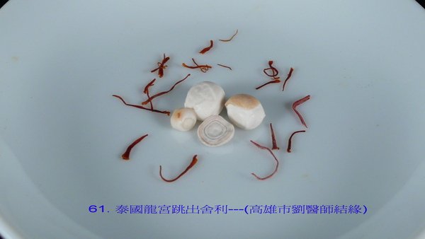 L1080836-01.jpg