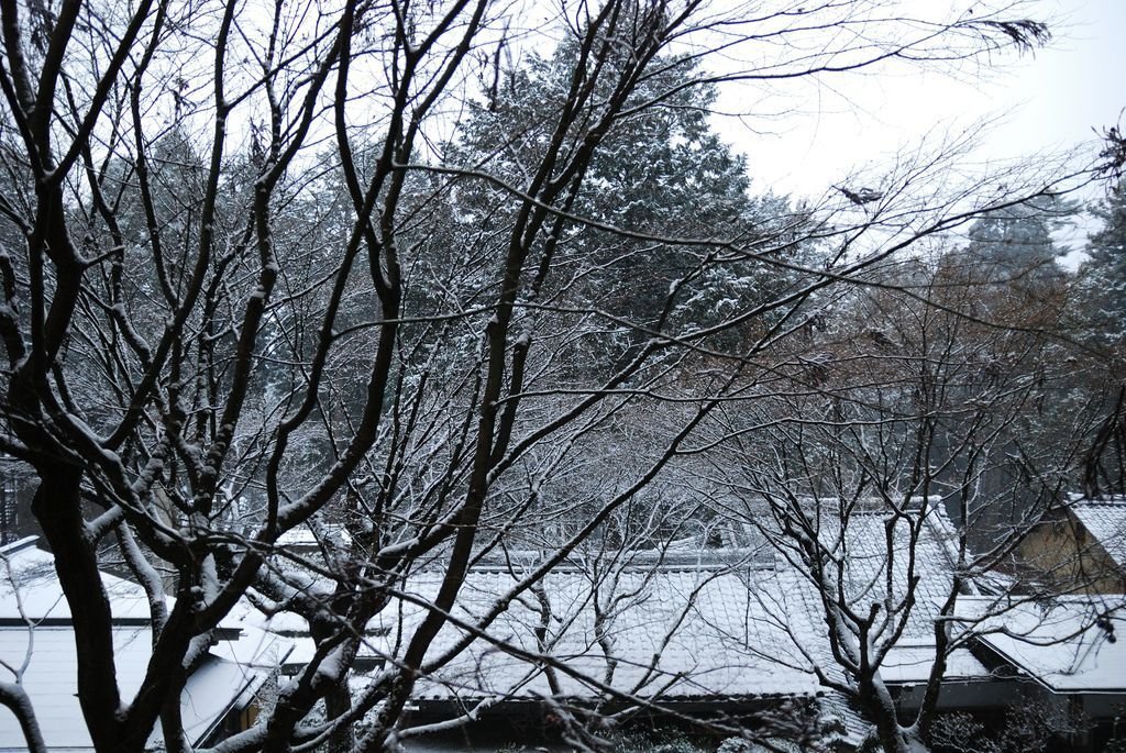 DSC_0267_0260