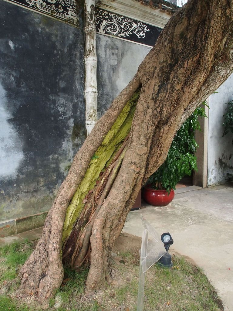 P9280180.jpg