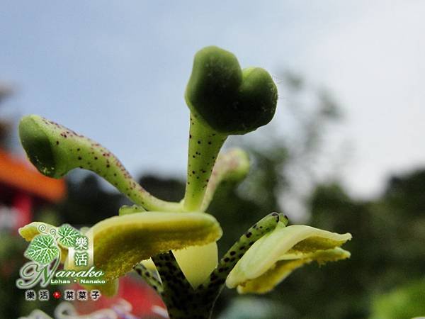 DSC01818