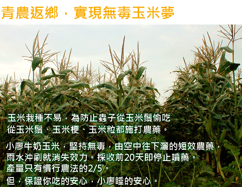商品企劃-牛奶水果玉米_05.gif