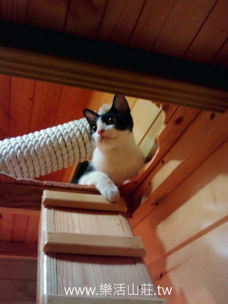 IMAGE_278 拷貝.jpg