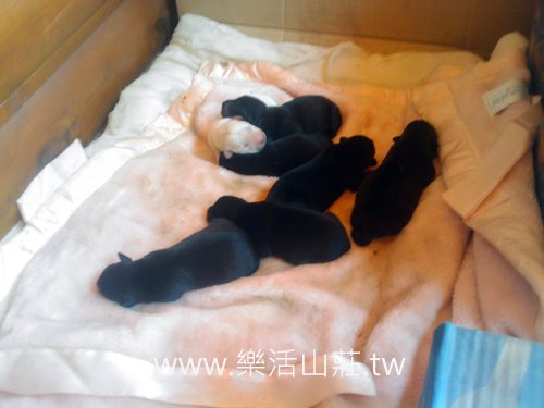 IMAGE_653 拷貝.jpg