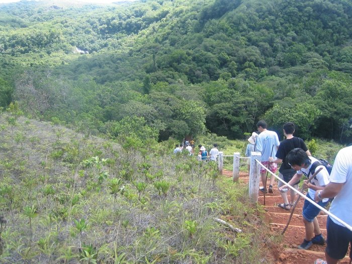 Ngardmau Waterfall 行動中