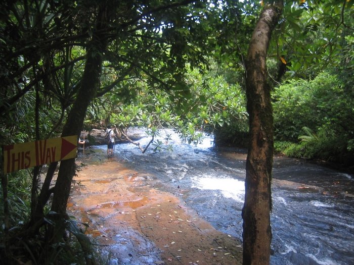 Ngardmau Waterfall 迪翁格拉迪野溪