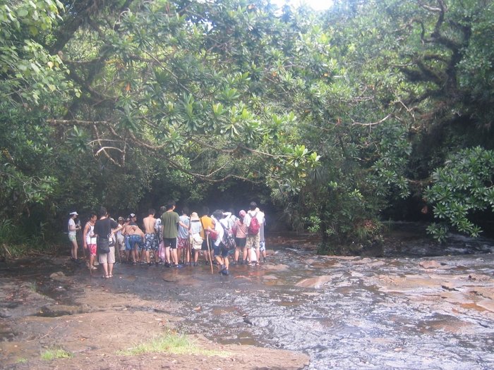 Ngardmau Waterfall 迪翁格拉迪野溪