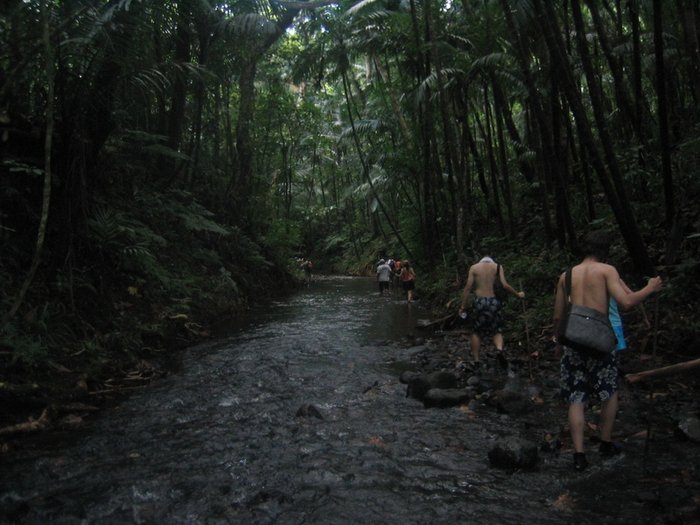 Ngardmau Waterfall 迪翁格拉迪野溪