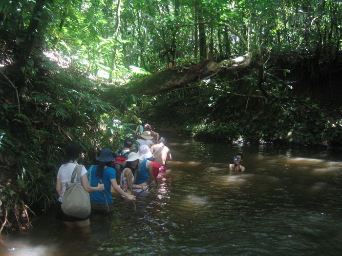 Ngardmau Waterfall 迪翁格拉迪野溪