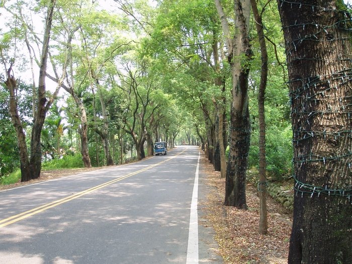 集集小鎮 - 綠色隧道