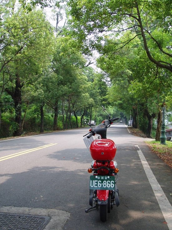 集集小鎮 - 綠色隧道