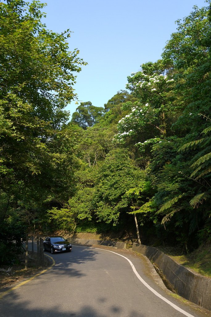 P1030004
