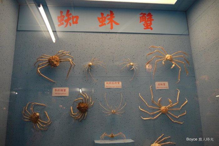 2012-4-28 台北.通榕古梁.跨海大橋.大義宮綠蠵龜.螃蟹館..二崁古厝.海豚灣飯店.rar